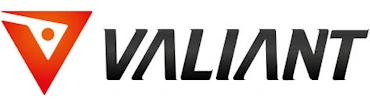 valiant optics